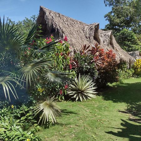 Sexto Sentido Cabanas & Pan Frances 帕洛米诺 外观 照片