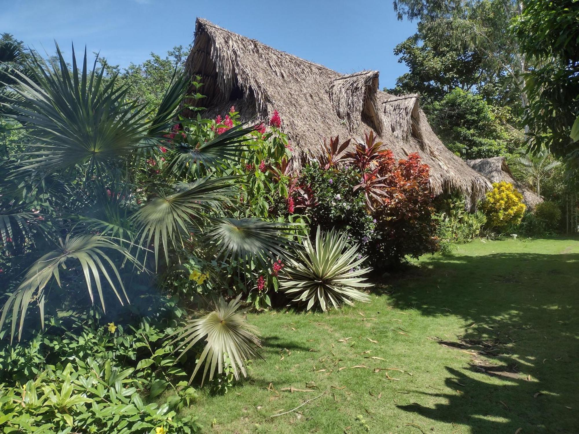 Sexto Sentido Cabanas & Pan Frances 帕洛米诺 外观 照片