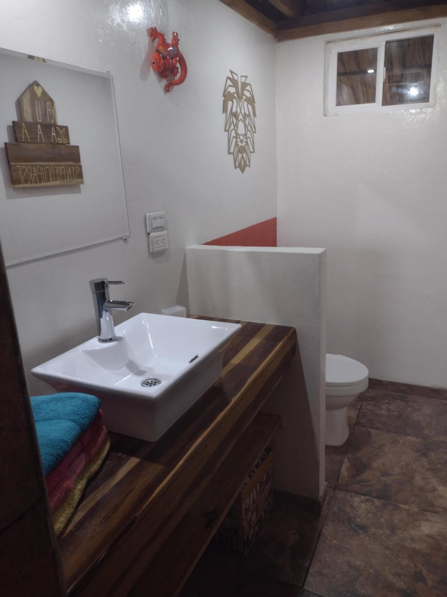 Sexto Sentido Cabanas & Pan Frances 帕洛米诺 外观 照片