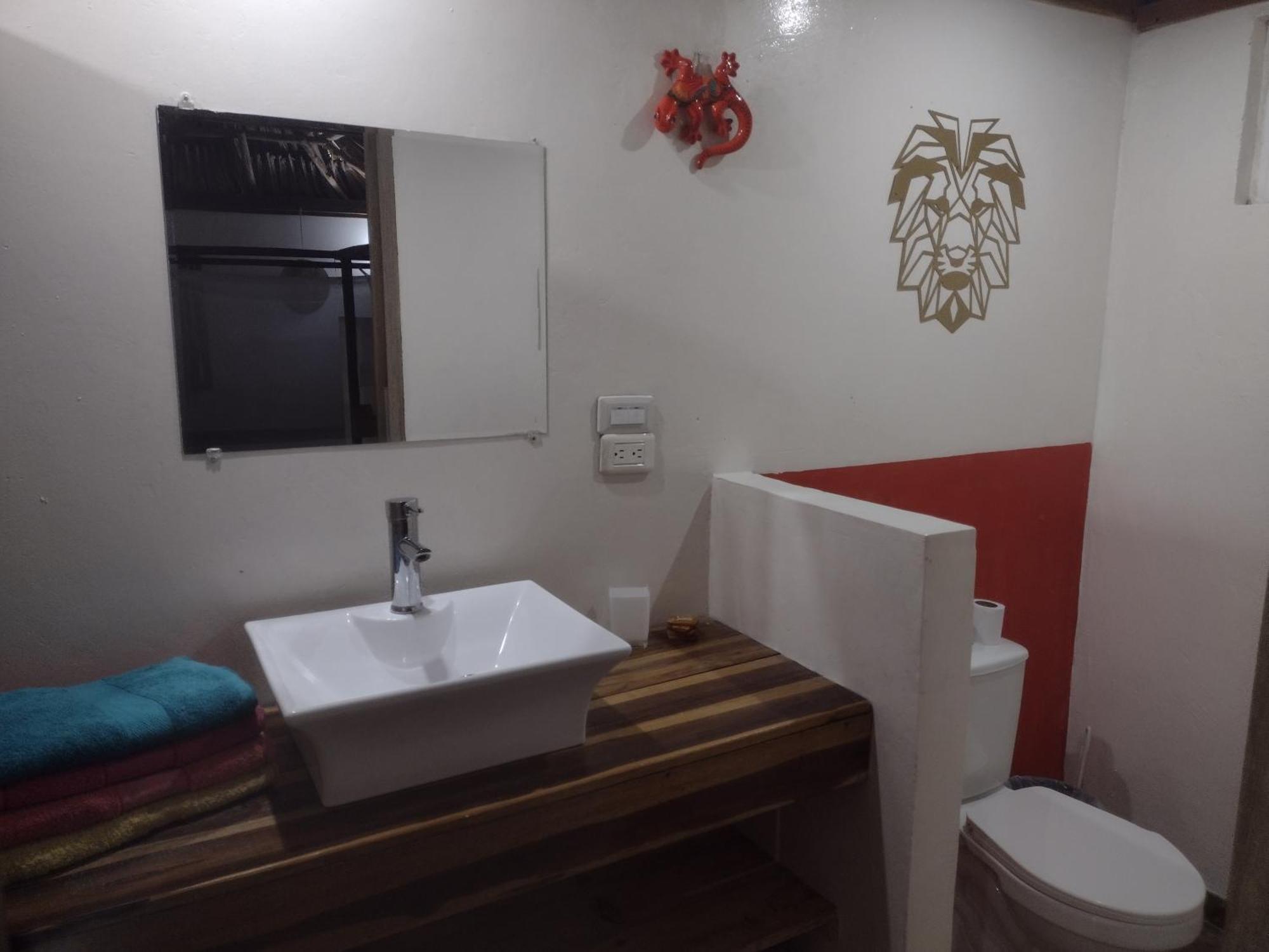 Sexto Sentido Cabanas & Pan Frances 帕洛米诺 外观 照片